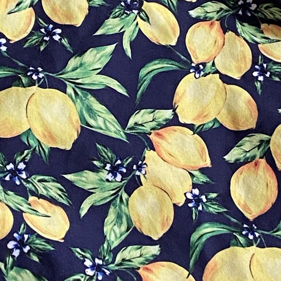 Weworewhat Lemon Print  Swim Trunks Drawstring Pockets Men’s XL - Picture 3 of 8